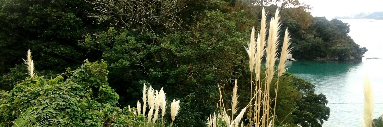 actually_ange_c's profile banner image