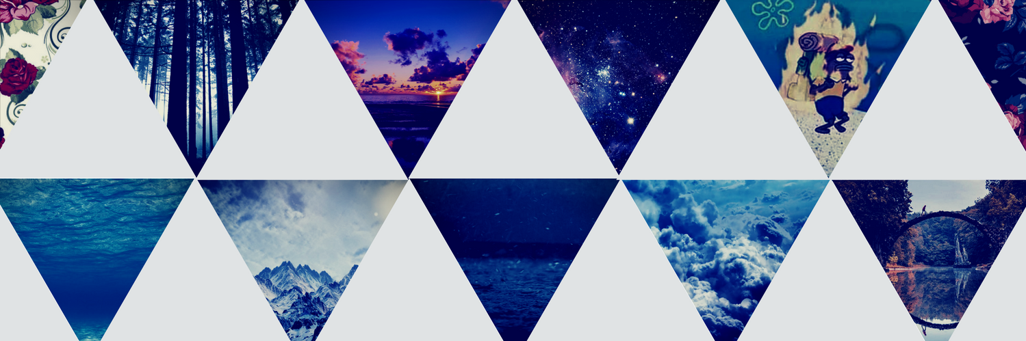 vexotoxin's profile banner image