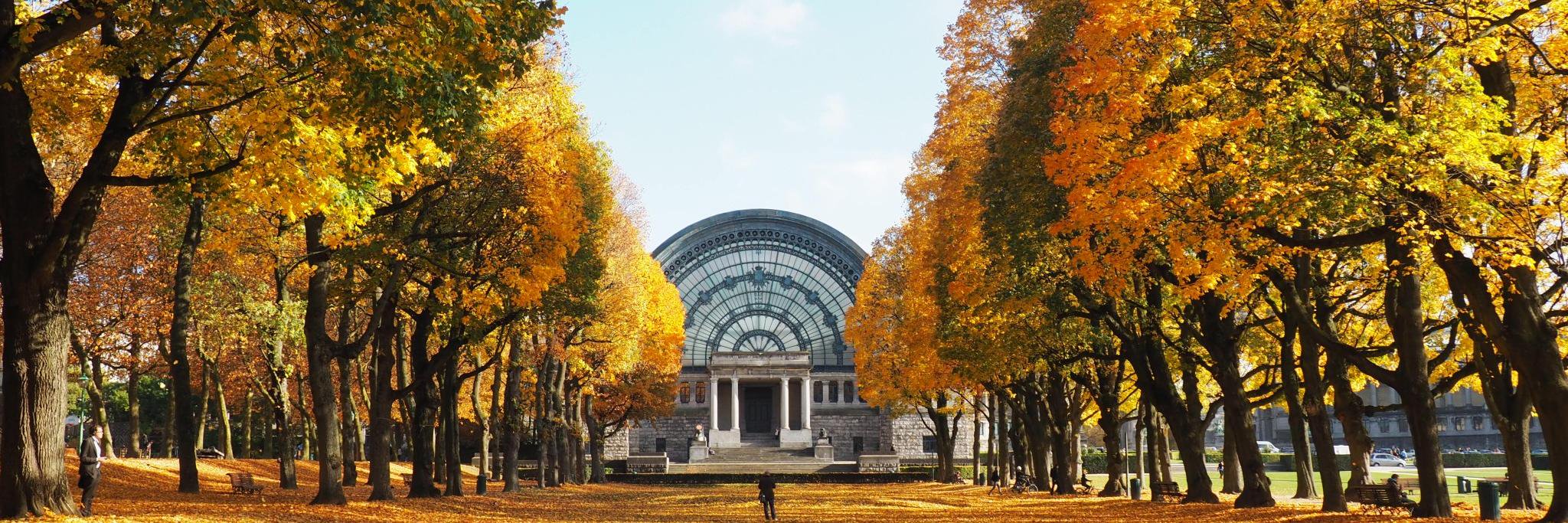 Mathieu Perona banner