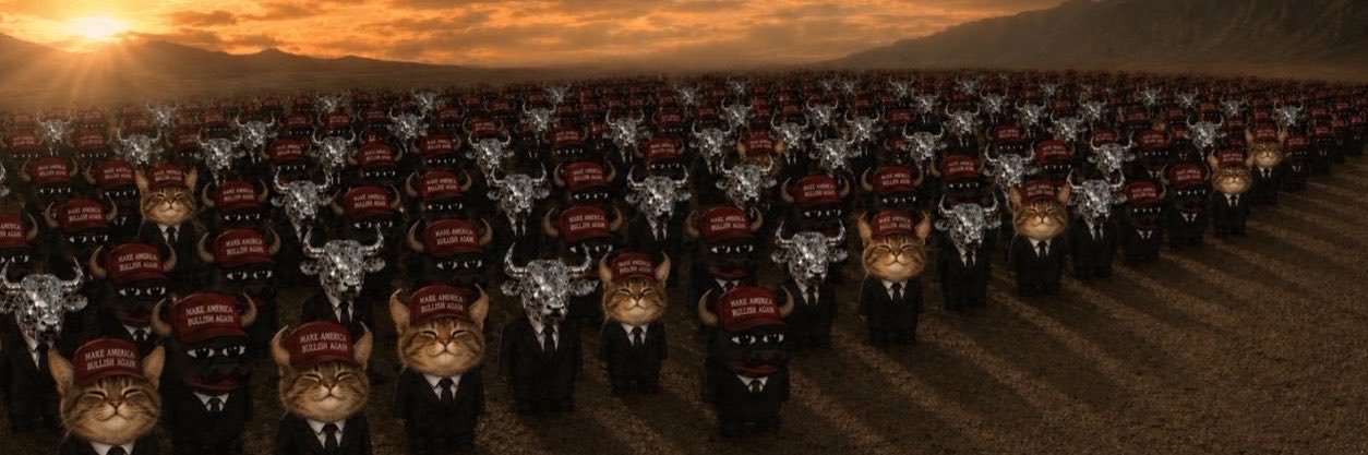 zyvpnl's profile banner image