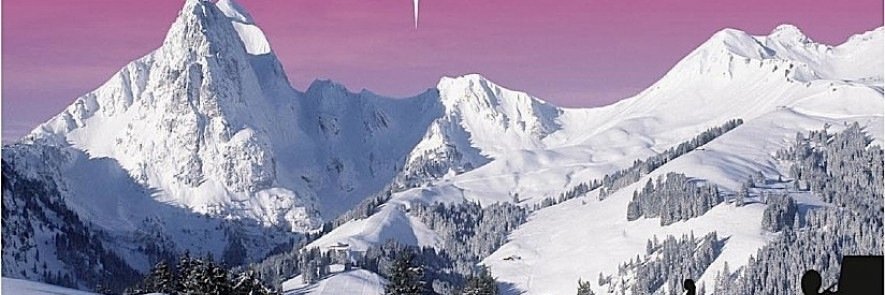 Caroline Murat banner