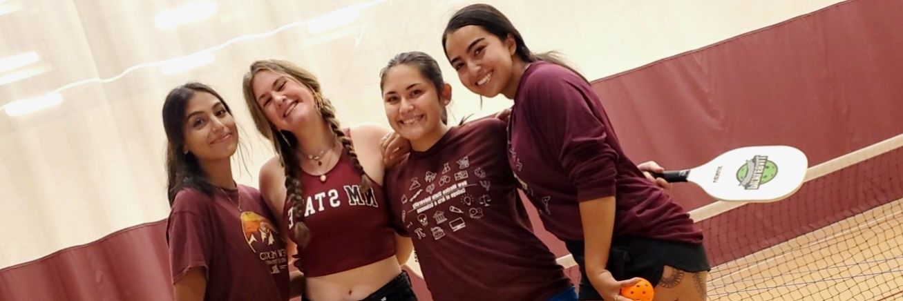 NMSURec's profile banner image