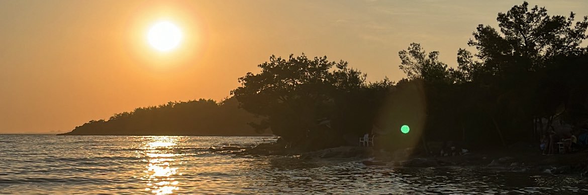 nesrinatigan's profile banner image