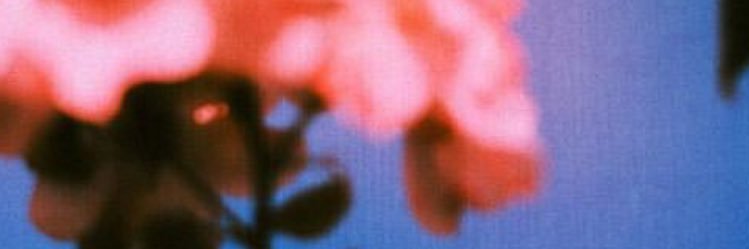 fefuu_'s profile banner image