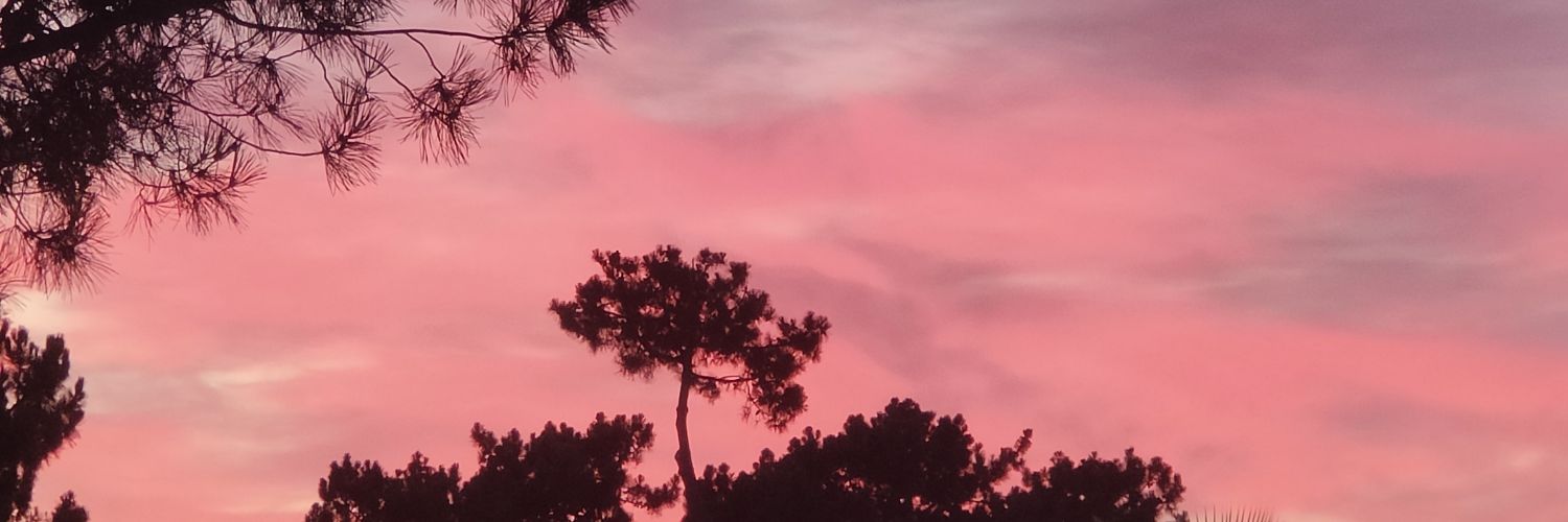 lfssamora_20's profile banner image