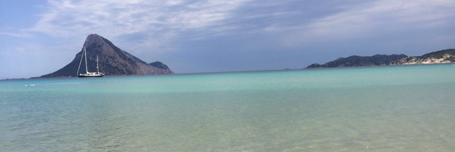 LucaSandrinelli's profile banner image