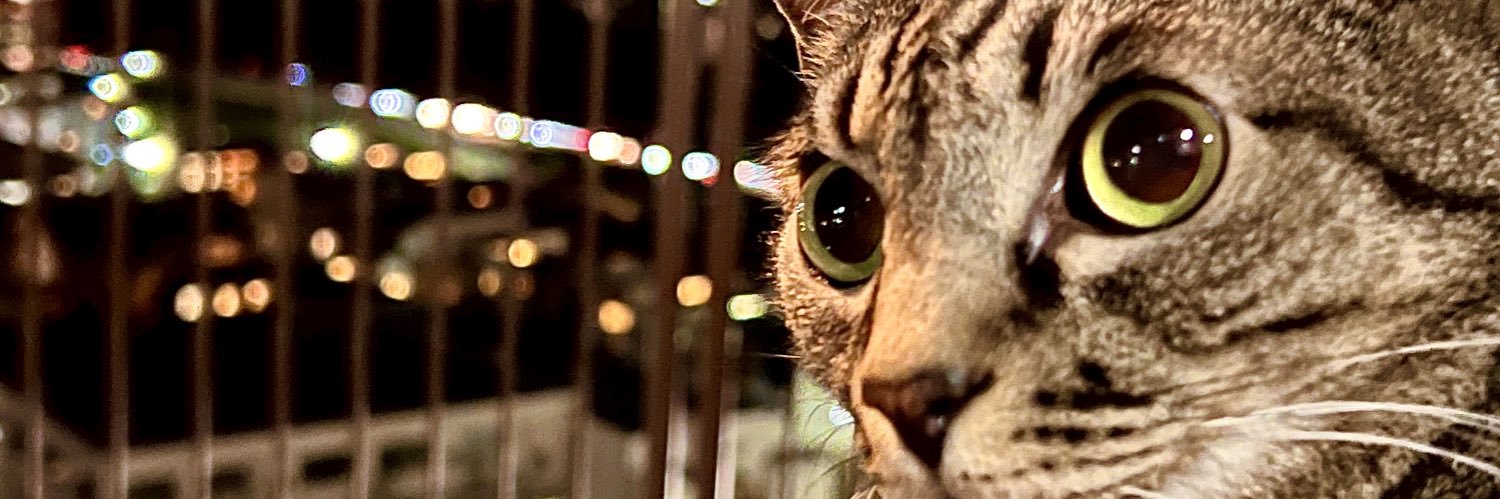 nyanpyo's profile banner image