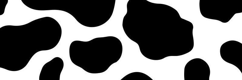 RomeoMapili's profile banner image