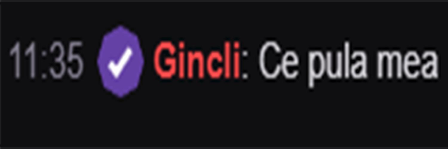Bumtsi banner