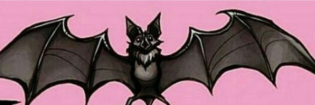 angelaperez06's profile banner image