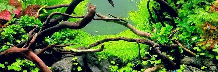 草屋(愛好家)笑 banner