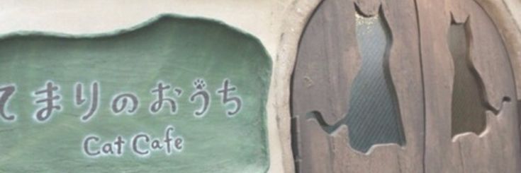 HAEYRlN's profile banner image