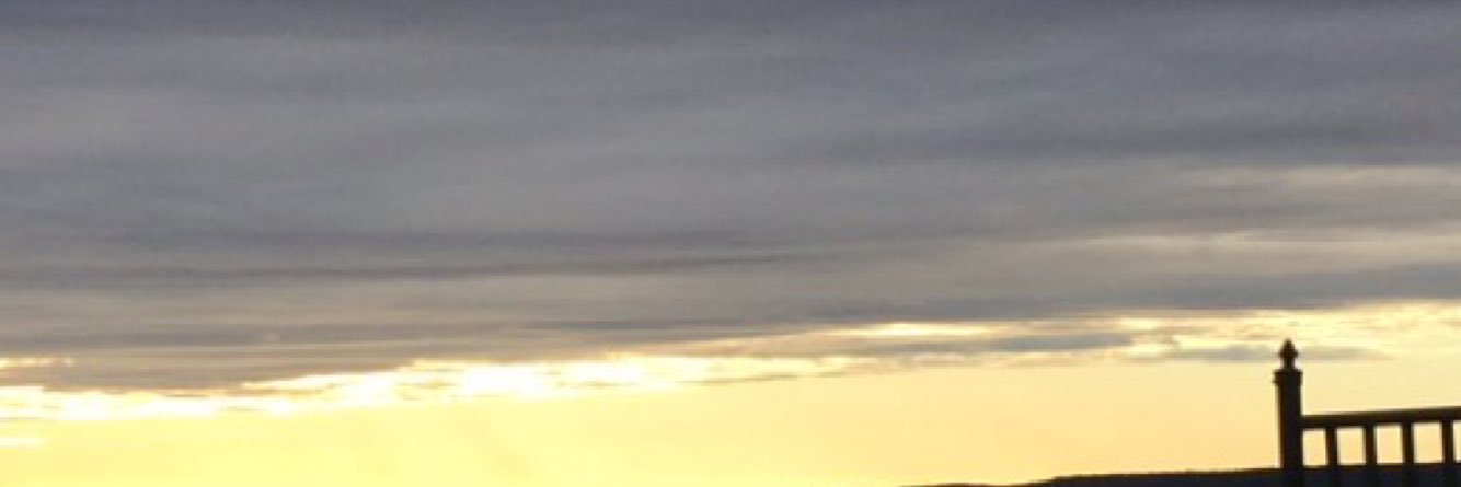 pussylickerp's profile banner image