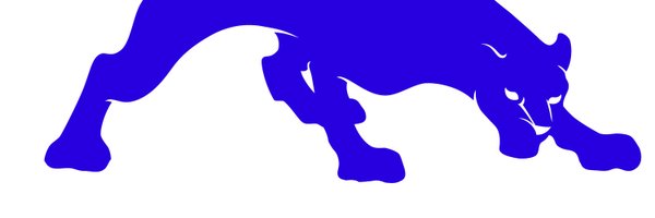 PaschalTennis Profile Banner