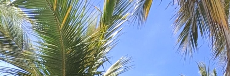 loretosmi's profile banner image
