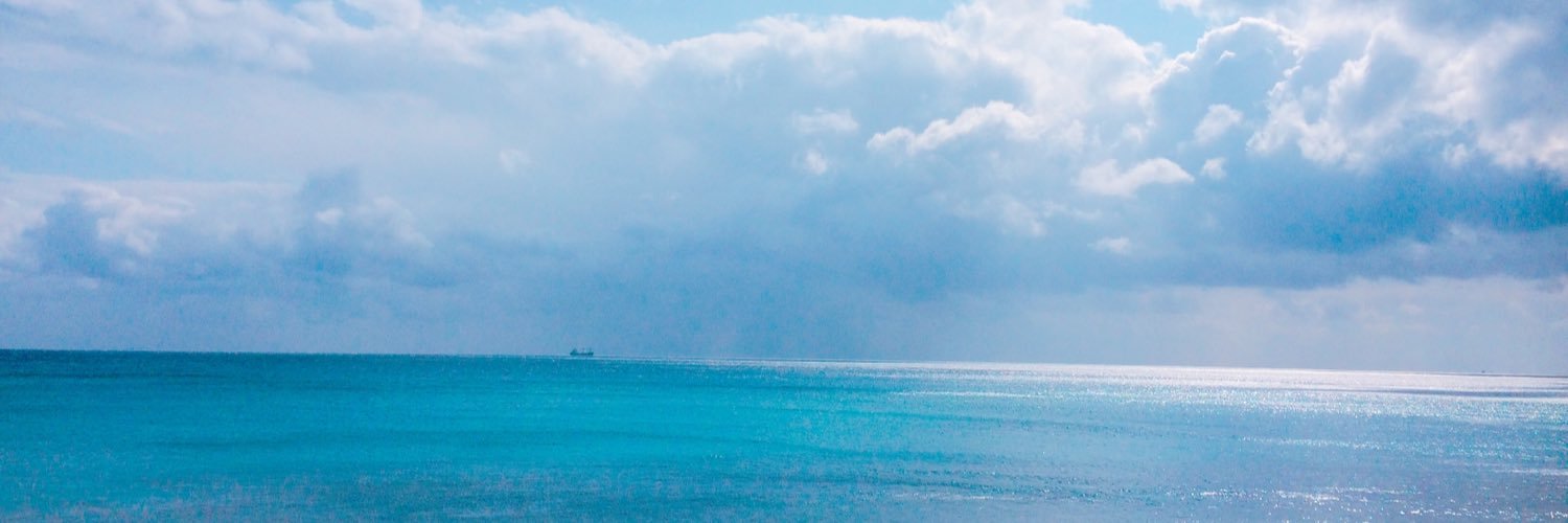 たけもこ banner