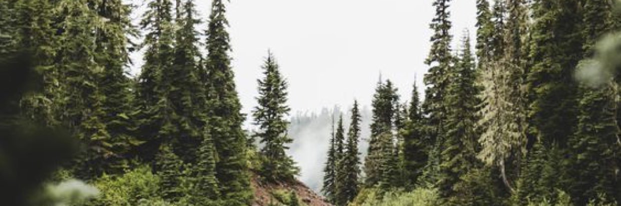 Hala_almfeed's profile banner image