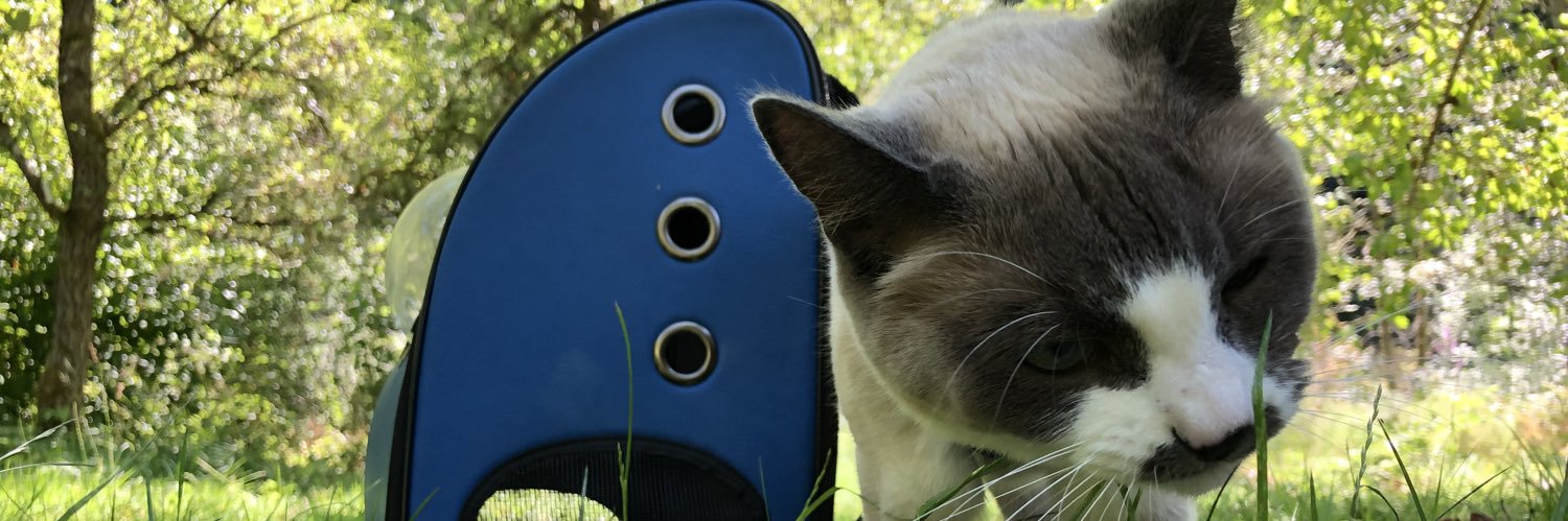 StormAgape's profile banner image