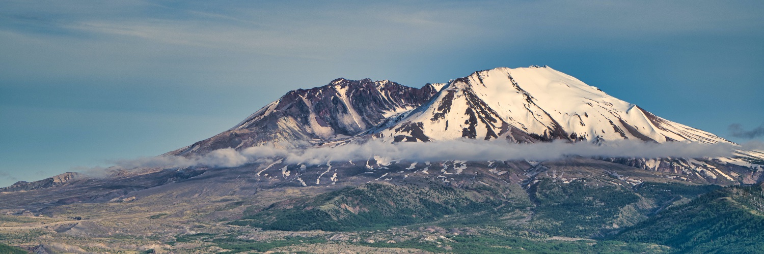 novorado banner