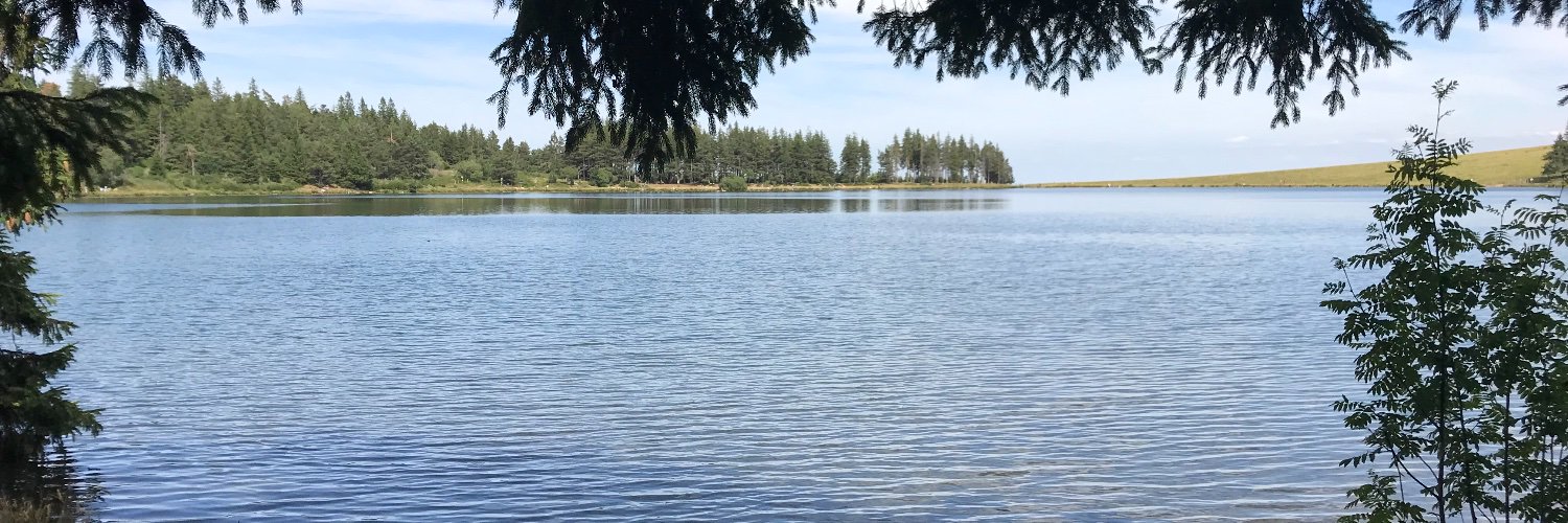 Koller Frédéric banner