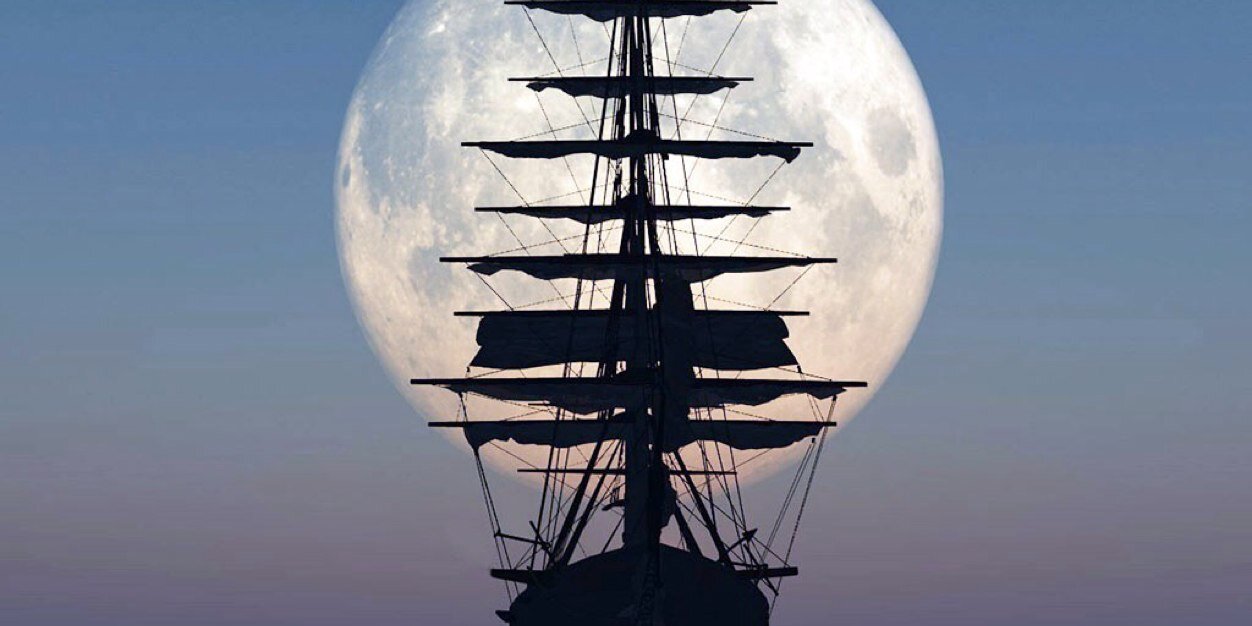 Sonja Davison banner