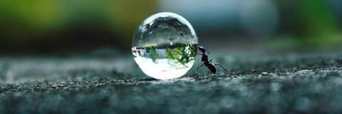 Despicable Me banner