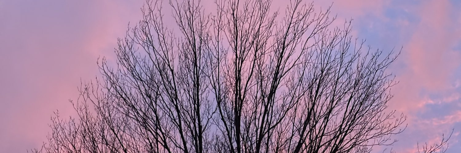 crazymom_nat's profile banner image