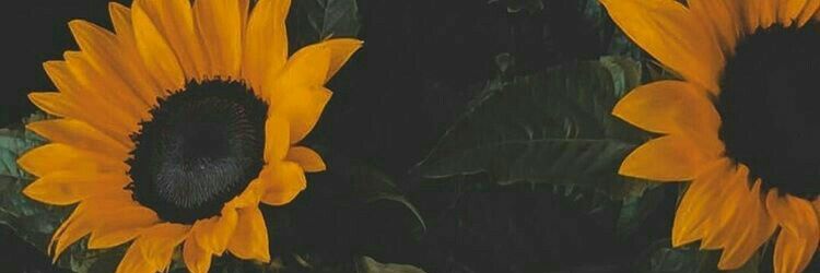 saamdip's profile banner image