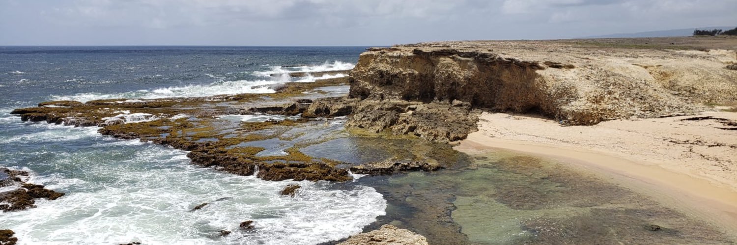 Mario Williams banner