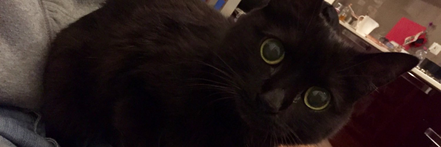 SKINCATS's profile banner image