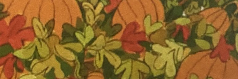 Mollipop23's profile banner image