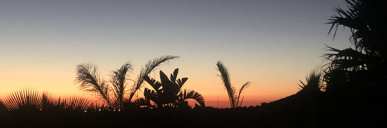 ealvrzz's profile banner image