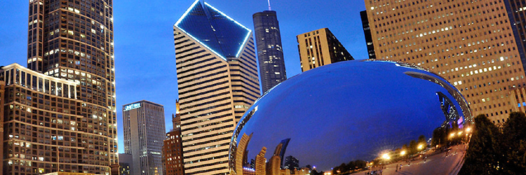 sidney salvadori banner