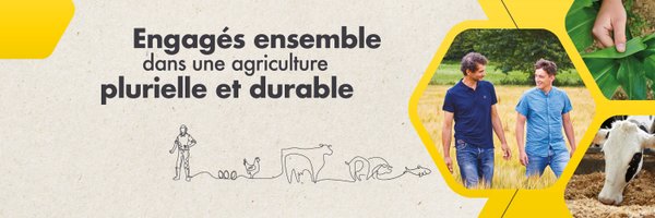 LeGouessant Profile Banner
