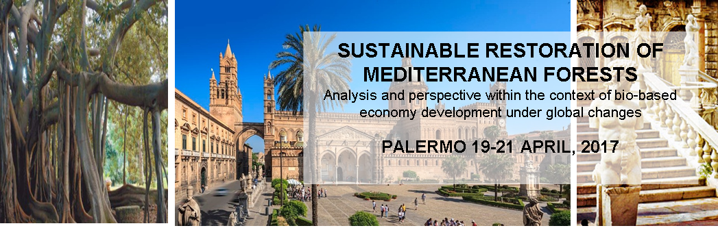 PalermoCongress's profile banner image