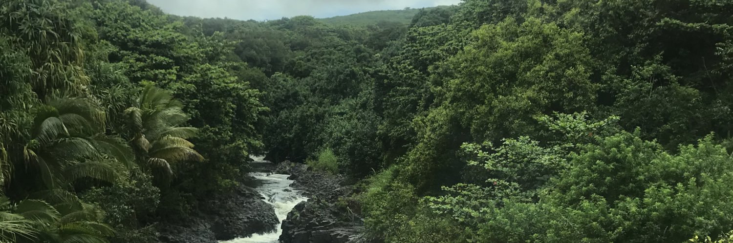 brendanmark4's profile banner image