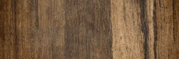 videozonecp Profile Banner