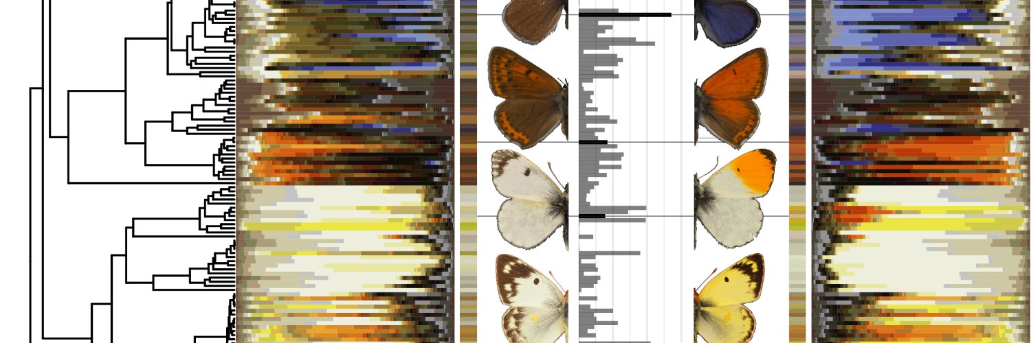 Wouter van der Bijl banner