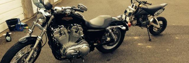 Rachel Doherty banner