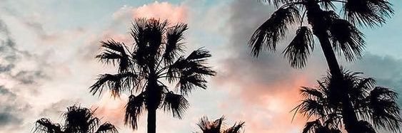 JoseNevrez's profile banner image