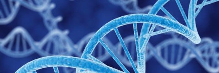 HumanRelevantScience banner