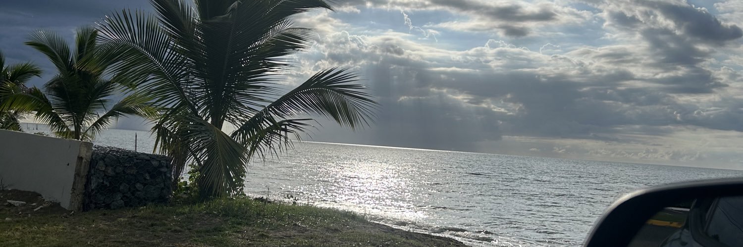 rowina_ponce's profile banner image