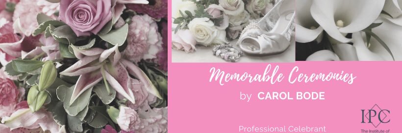 CarolBode1's profile banner image