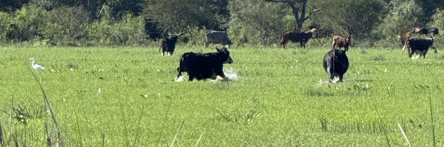 𝕿𝖊𝖓𝖎𝖊𝖓𝖙𝖊 𝕽𝖔𝖑𝖉𝖆𝖓 banner