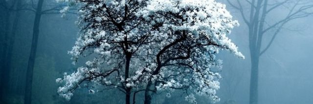 nihalkhan12345's profile banner image