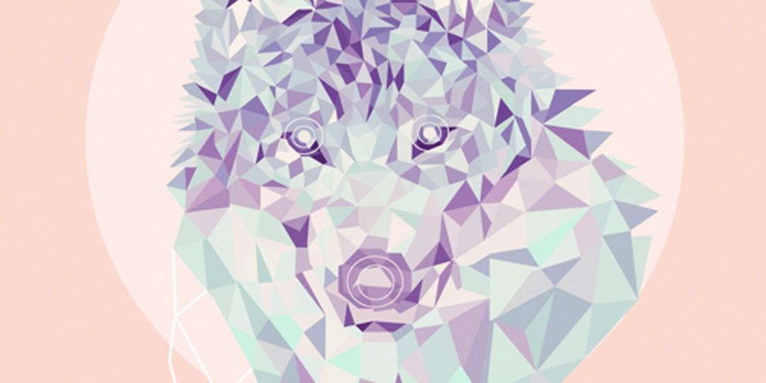 kinantimaya's profile banner image