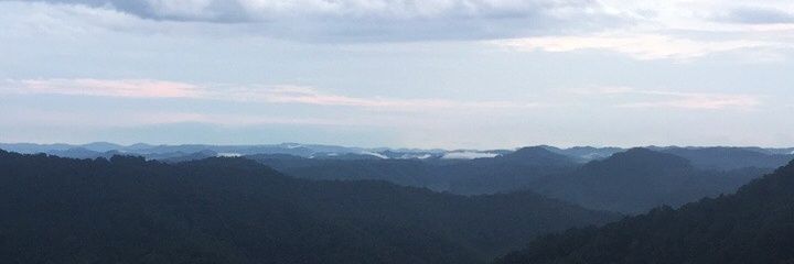 Michaela Hyden banner