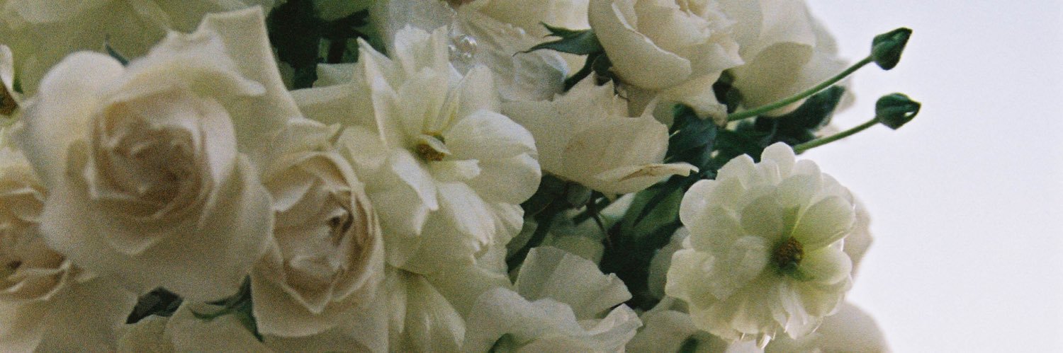 _ribond_'s profile banner image