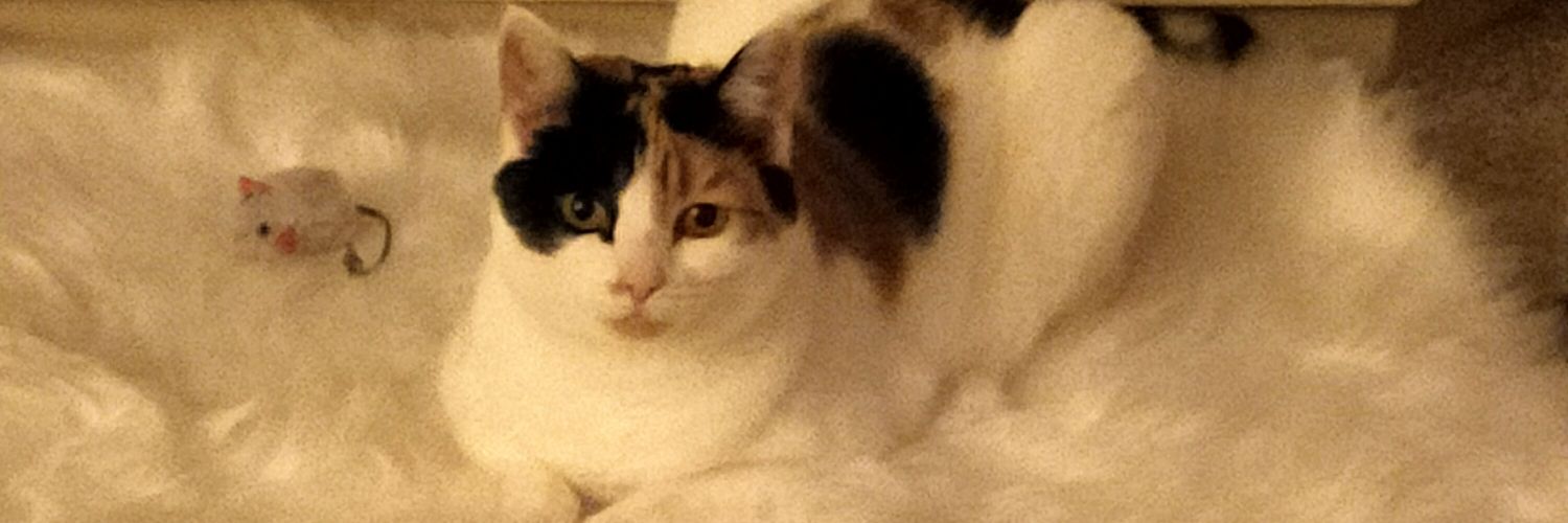 Lell Sutherland 🏴󠁧󠁢󠁥󠁮󠁧󠁿🇺🇦🕯️❤️ banner