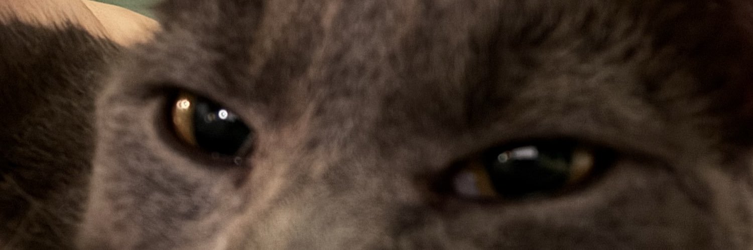 strick2312's profile banner image